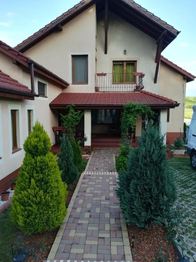 Casa Doina Apartment Baile Felix Luaran gambar