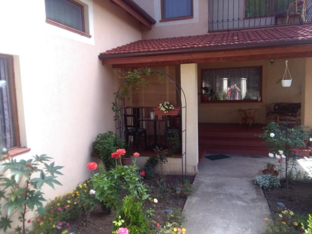 Casa Doina Apartment Baile Felix Luaran gambar