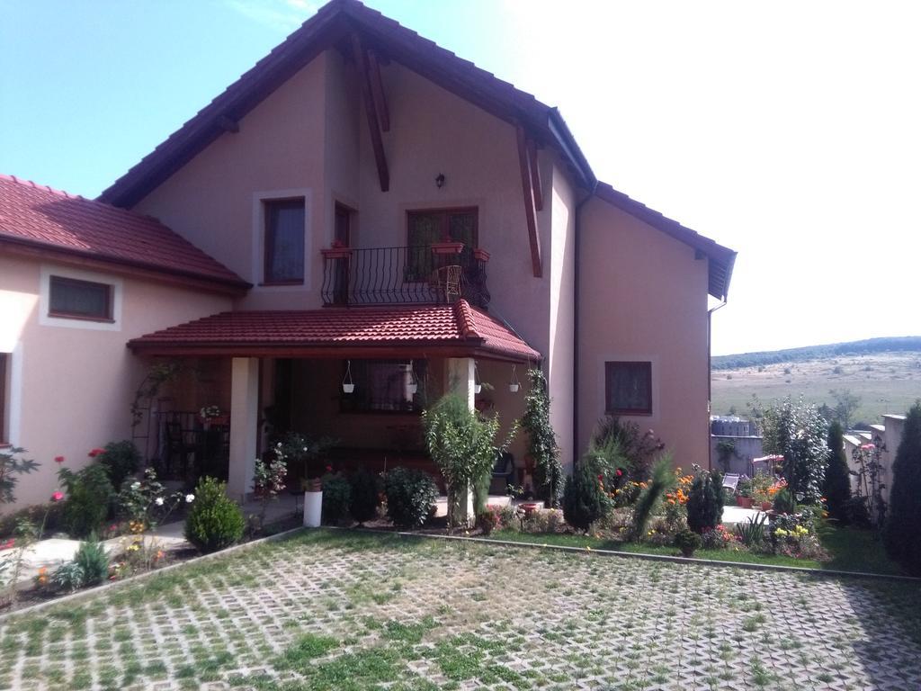 Casa Doina Apartment Baile Felix Luaran gambar